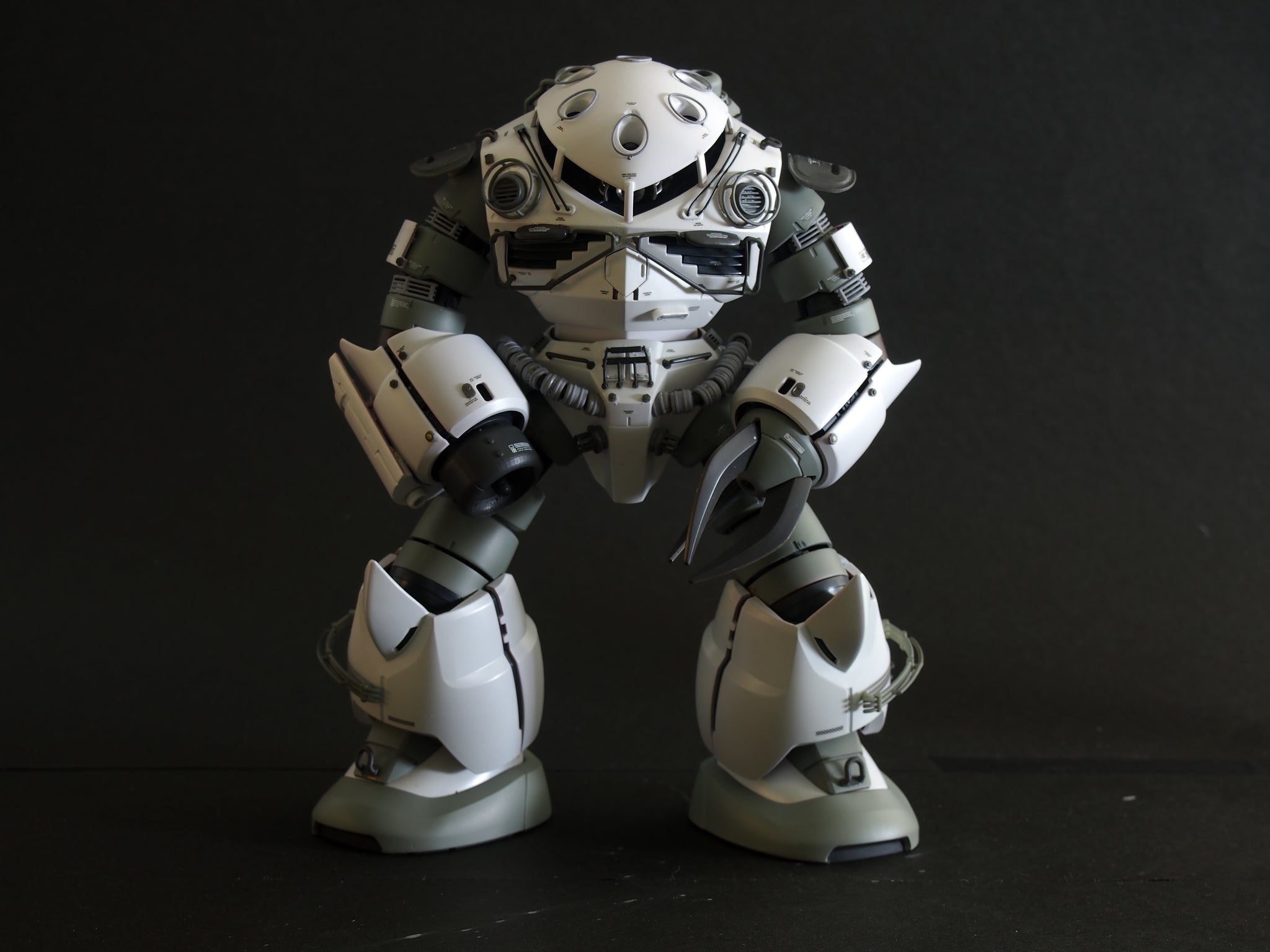 完成品販売 MGズゴック – MAKERS Detail up parts